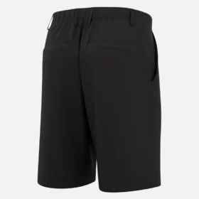 Bermudas Eagle