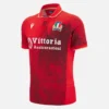 Camisas auténticas de tercer diseño para adultos Italia Rugby 2025/26 Camisas auténticas de tercer diseño para adultos Italia Rugby 2025/26