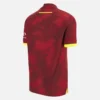 Camisas de críquet ODI West Indies 2025/26 Camisas de críquet ODI West Indies 2025/26