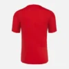 Camisas de entrenamiento para adultos Pallacanestro Reggiana 2025/26