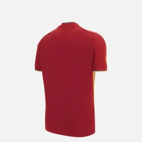 Camisas de partido T-20 junior de críquet de las Indias Occidentales para la Copa del Mundo de 2026 Camisas de partido T-20 junior de críquet de las Indias Occidentales para la Copa del Mundo de 2026