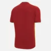 Camisas de partido T-20 West Indies Cricket 2025/26 Camisas de partido T-20 West Indies Cricket 2025/26