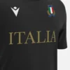 Camiseta de algodón de la línea para aficionados Italia Rugby 2025/26 para adultos Camiseta de algodón de la línea para aficionados Italia Rugby 2025/26 para adultos