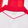 Equipación de local para adultos del Red Star Belgrado 2025/26