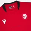 Equipación de tercer partido para adultos de la Federación Georgiana de Fútbol 2025/26