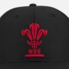 Gorra de béisbol Welsh Rugby 2025/26 Gorra de béisbol Welsh Rugby 2025/26