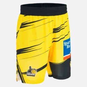 Pantalones Cortos de entrenamiento para adultos Ludwisburg 2025/26