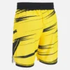 Pantalones Cortos de entrenamiento para adultos Ludwisburg 2025/26