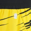 Pantalones Cortos de entrenamiento para adultos Ludwisburg 2025/26