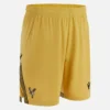Pantalones Cortos Eagle Gold para adultos del Crystal Palace FC 2025/26