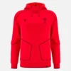 Sudadera Con Capucha Welsh Rugby 2025/26 Travel Yukon