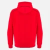 Sudadera Con Capucha Welsh Rugby 2025/26 Travel Yukon